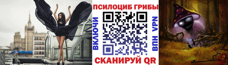 Псилоцибиновые грибы прущие грибы  наркота  блэк спрут зеркало  Горно-Алтайск 