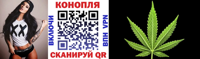 цена   Горно-Алтайск  Конопля OG Kush 